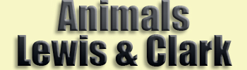 Lewis and Clark <br>Animals