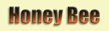 Honey Bee