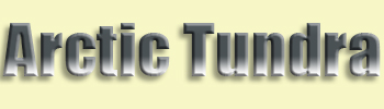 Arctic Tundra