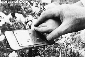 Learning to read braille
