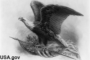Early drawing of the United States national bird