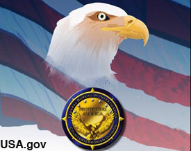 Eagle design used by the FBI