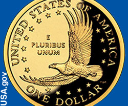 One dollar coin showing the American eagle