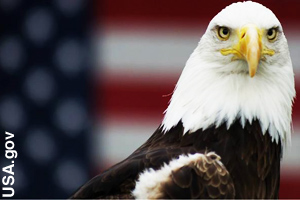 Courage and strength