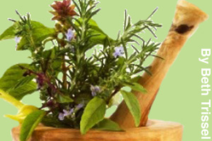 Herbs and plants ground into medicine
