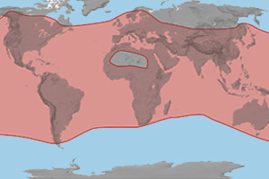 The range (in red) of the honey bee