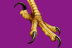 A drawing of talons