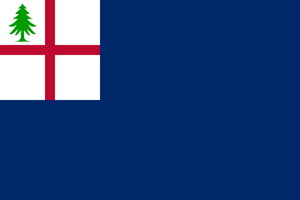 Flag carried by the patriots during the battle