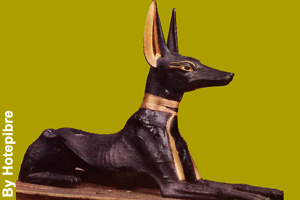 The jackal, symbol of Anubis