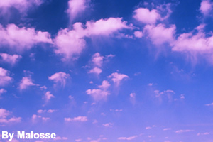 Some altocumulus clouds look like <br>floating jellyfish.