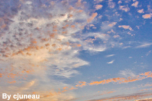 You can see blue skies between the <br>altocumulus clouds.