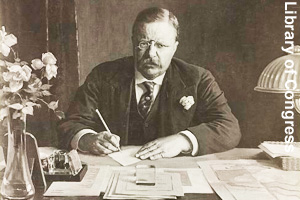 After being president, Roosevelt was a writer.