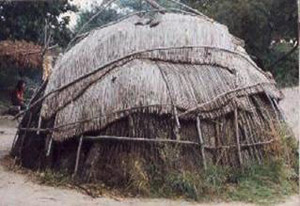 A wigwam