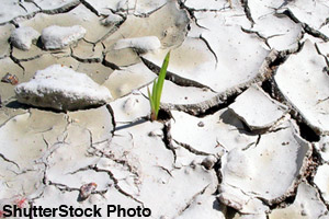 Plants need water to grow.