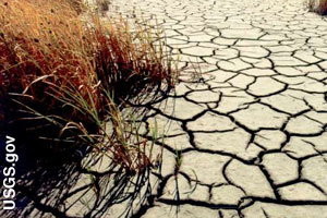 Farm crops cannot grow without water.