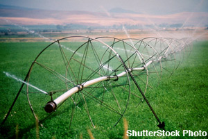 Farmers must bring in water to help plants grow.